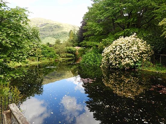 Benmore Garden